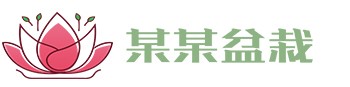 米乐|米乐·M6(中国大陆)官方网站